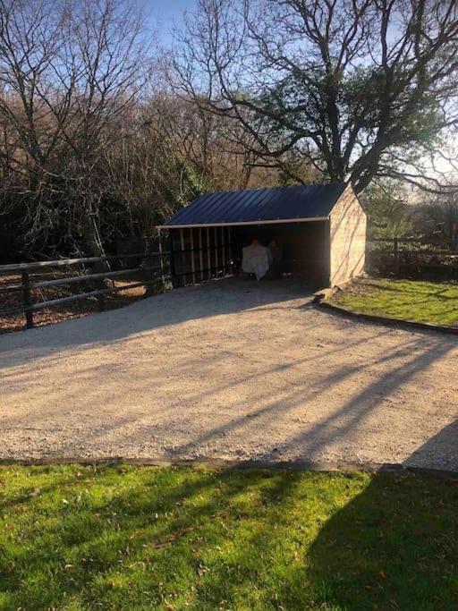 Cottage Cocooning Romantique Avec Jaccuzzi Prive Ancinnes Esterno foto